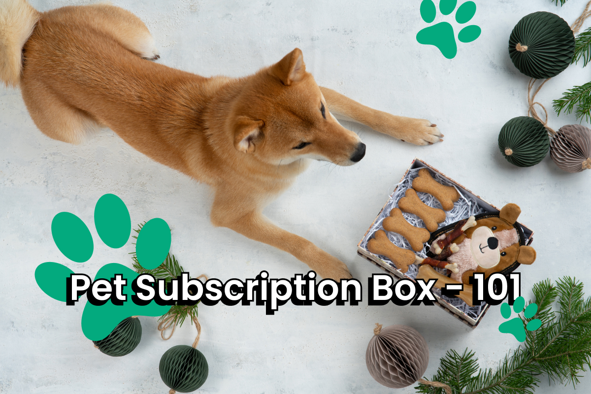 How to Start a Pet Subscription Box Business (2024 Guide)